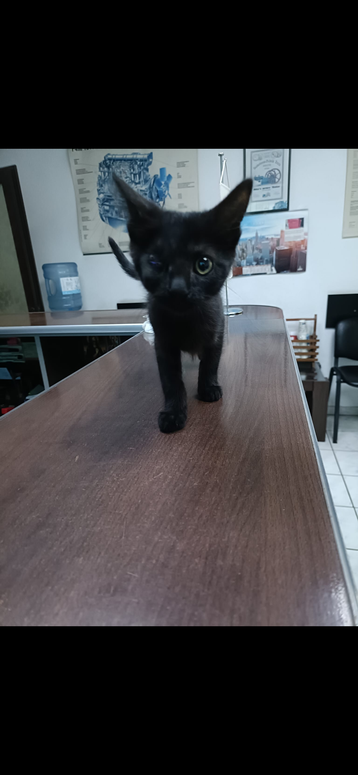 Elara