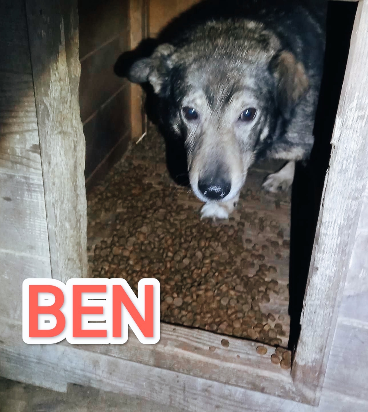 Ben