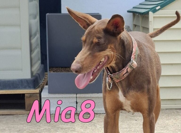 Mia8