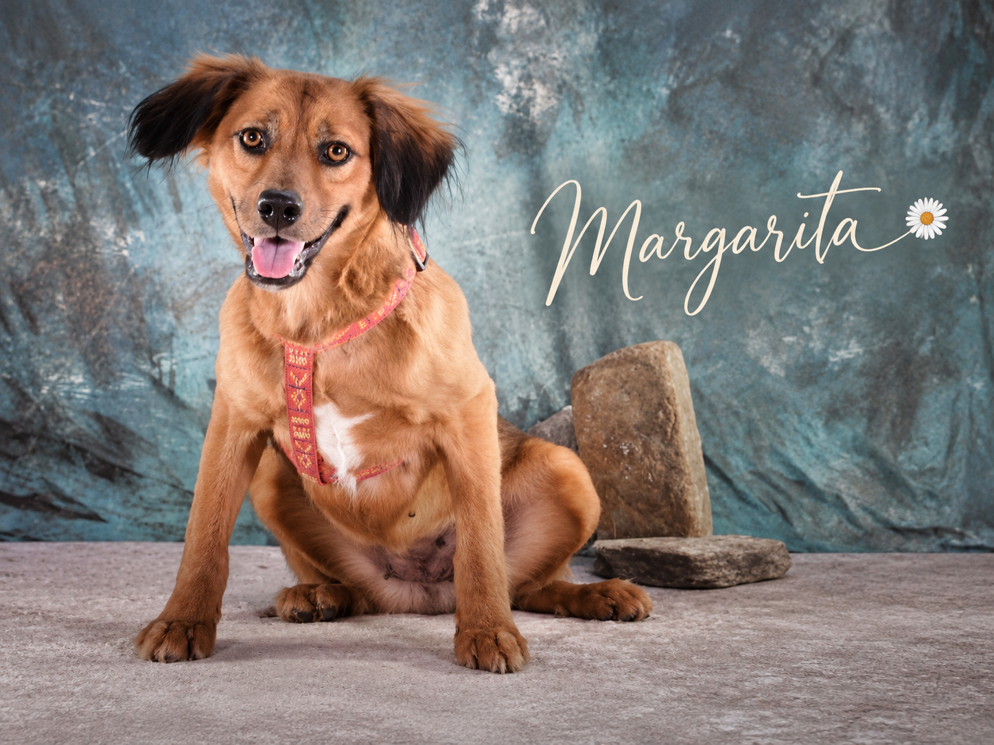 Margarita sucht Vertrauen