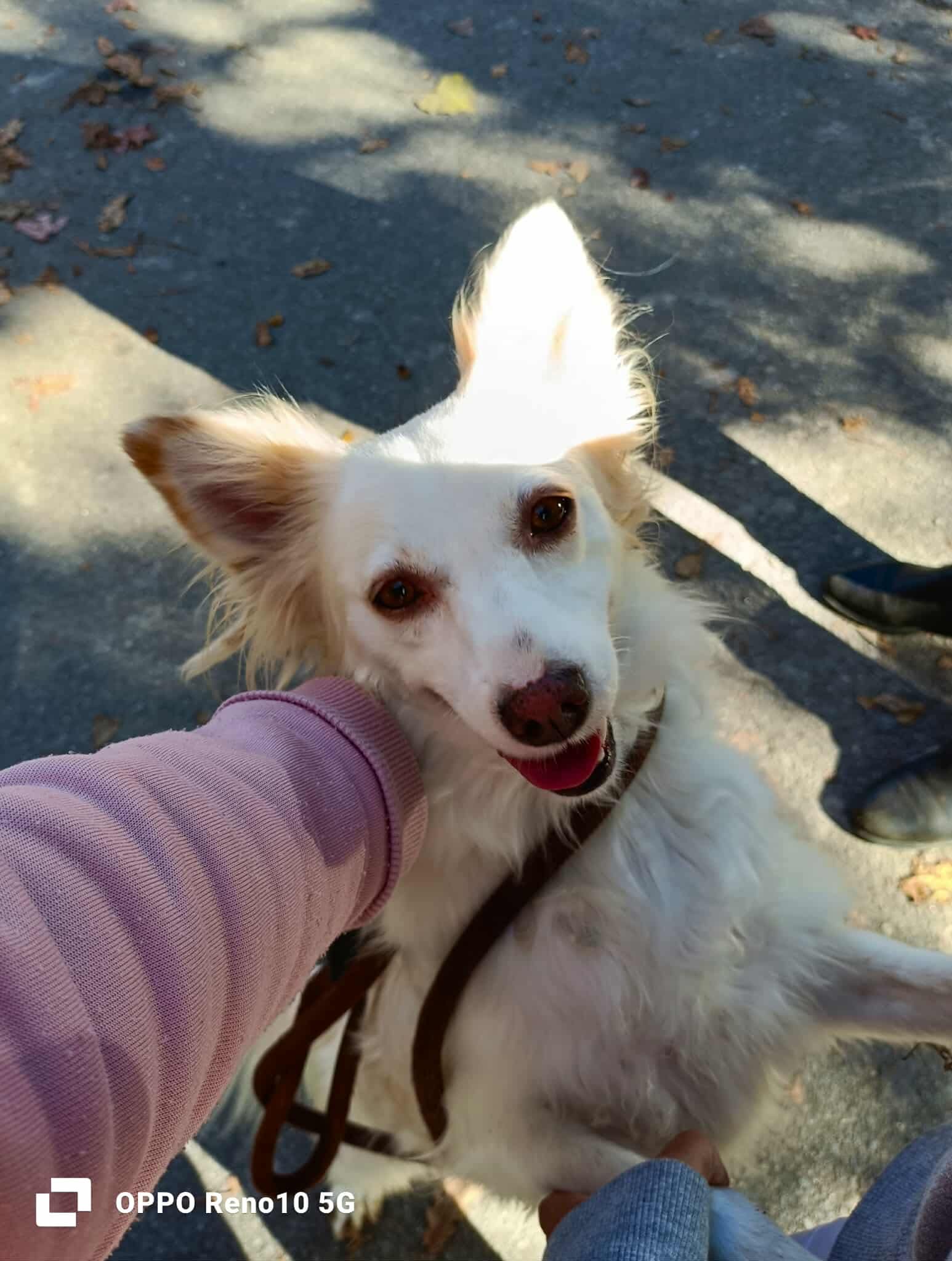 KIKA ❤️