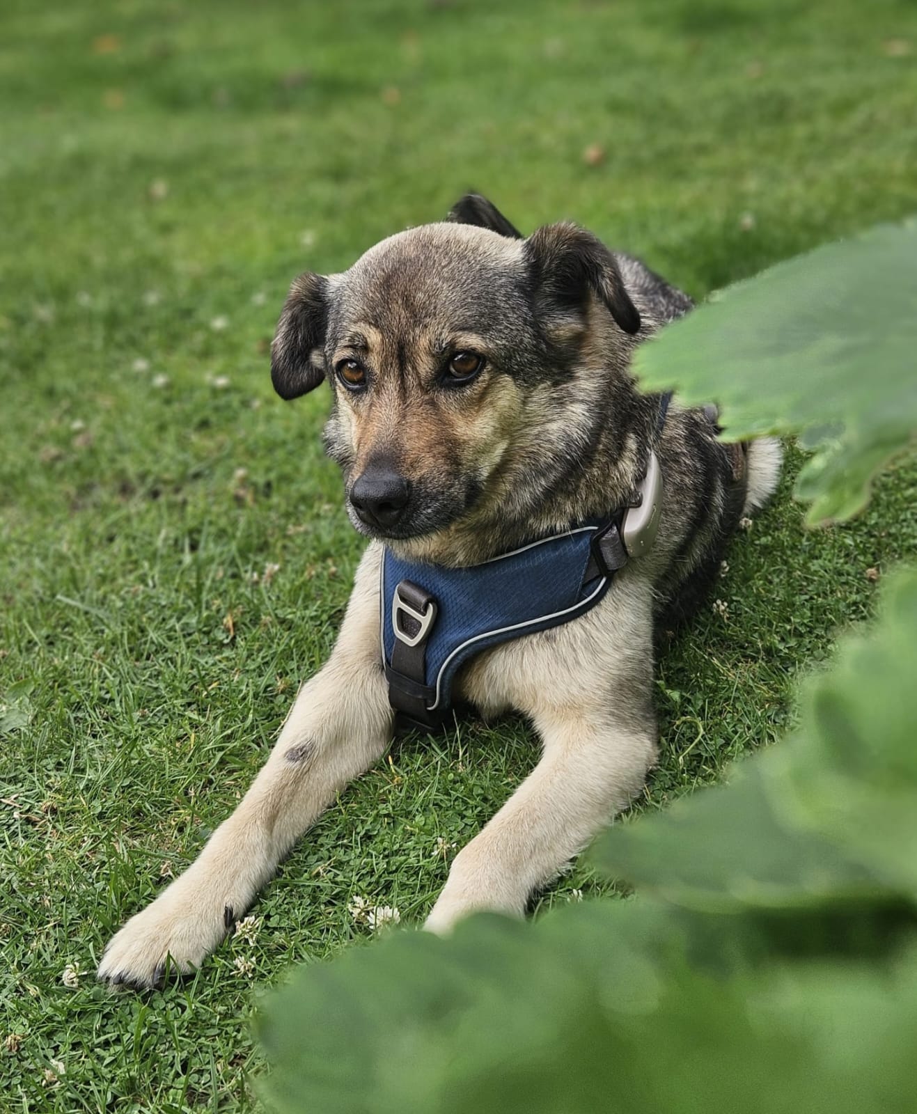 Kate ❤️ - sucht aus 33619