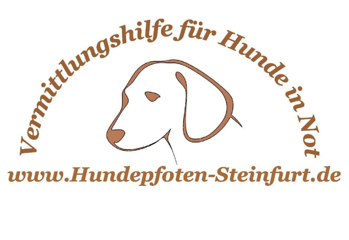 Hundepfoten-Steinfurt