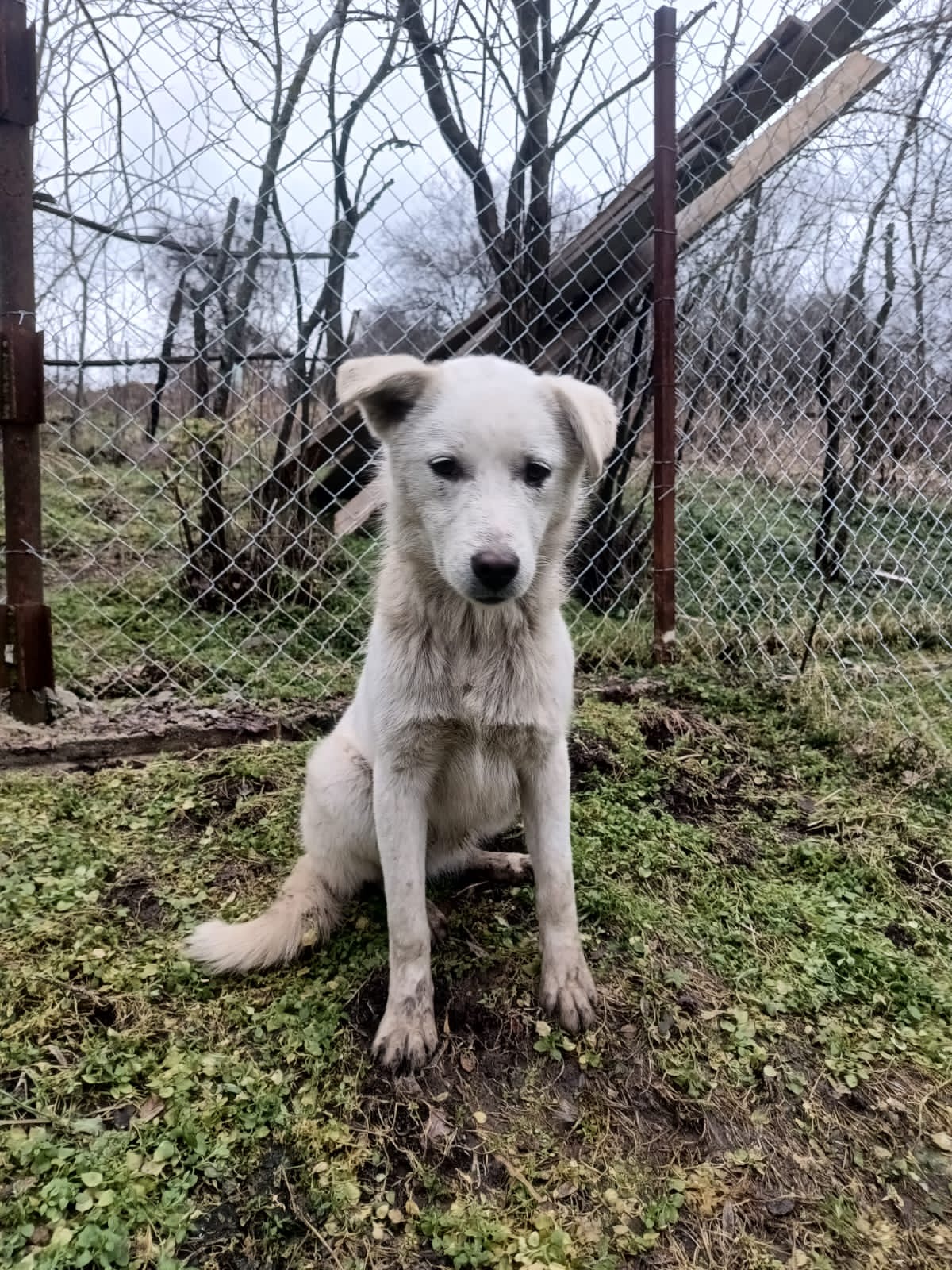 Zeus