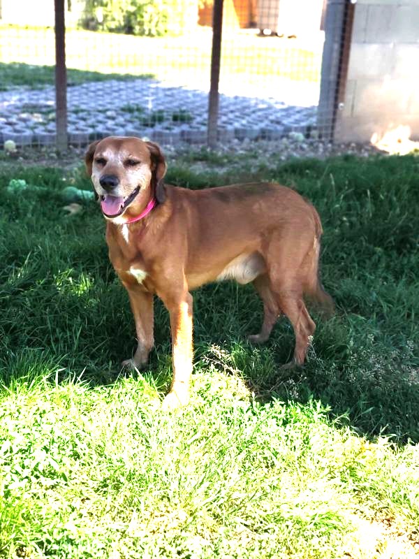 Tobi