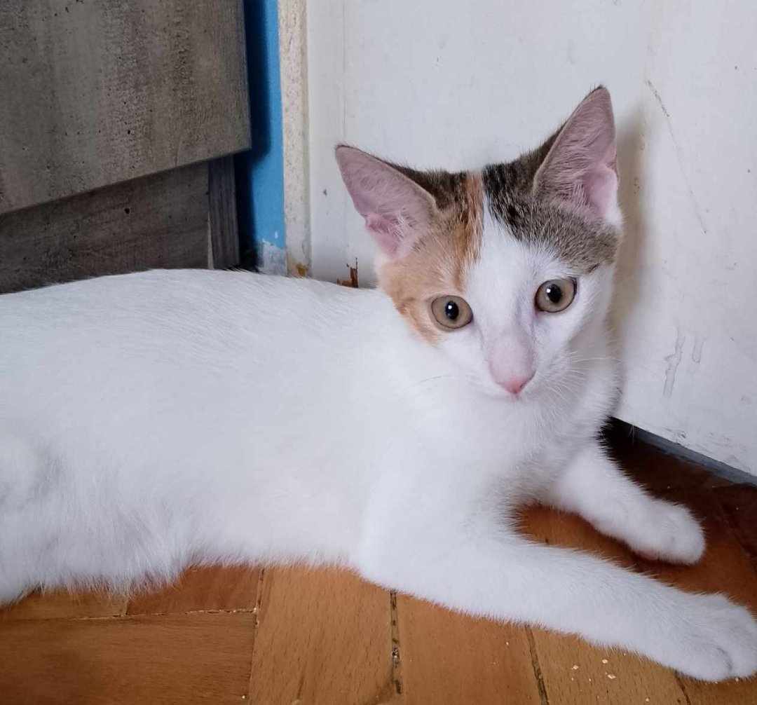Salsa ❤️