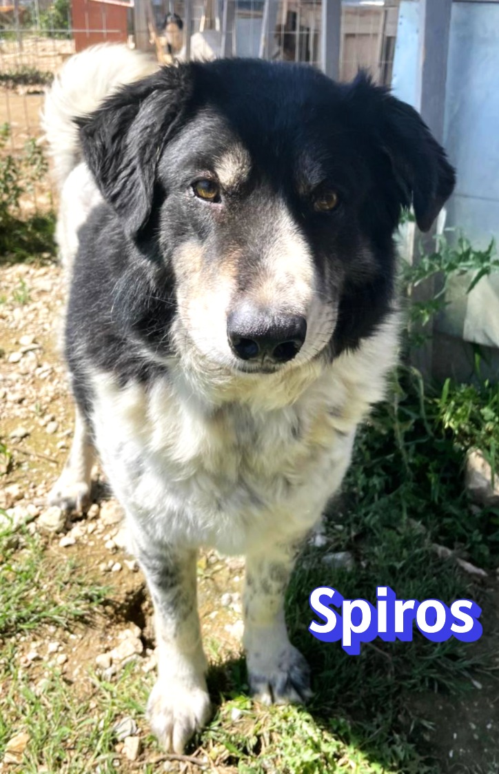 Spiros