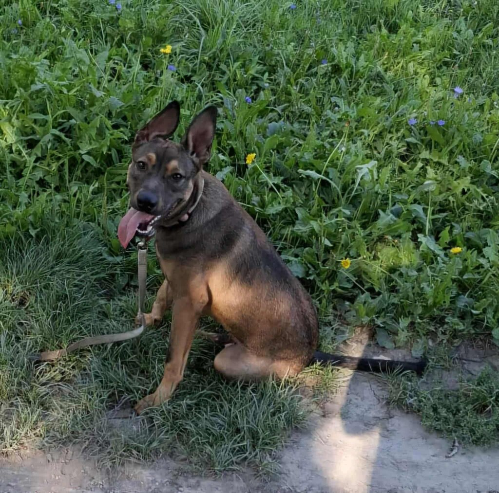 Max