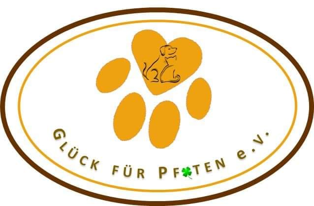 Glück für Pfoten e.V. – Der Weg in ein neues Leben