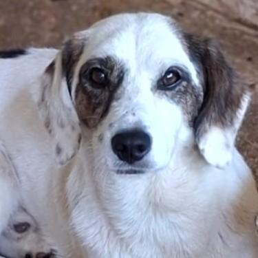 Fjord