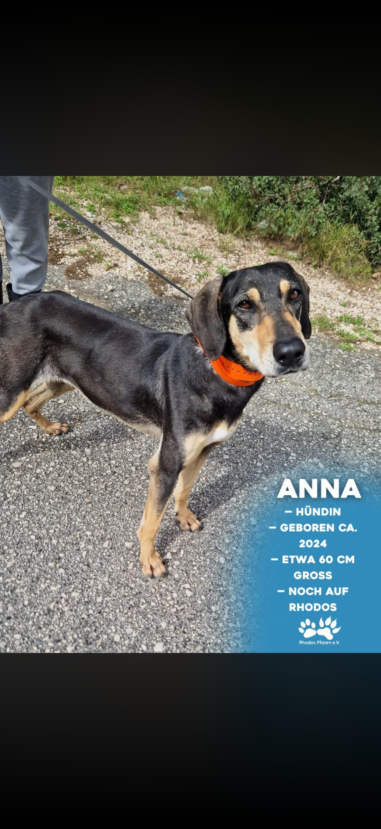 Anna