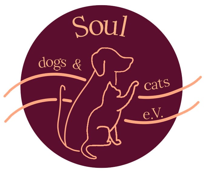 Soul dogs & cats e.V.