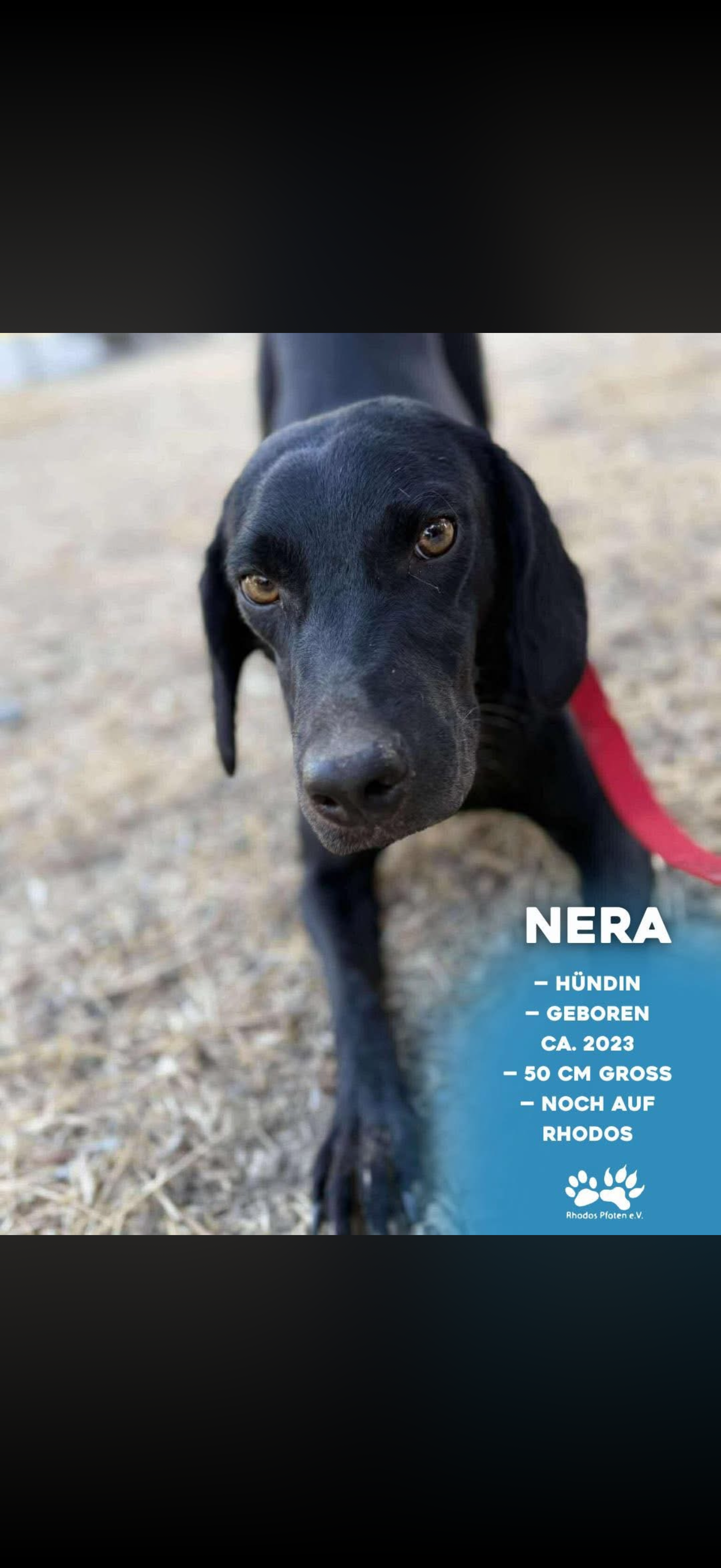 Nera