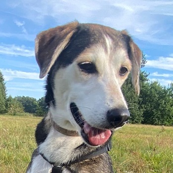 Portia