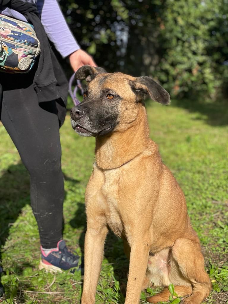 Massimo