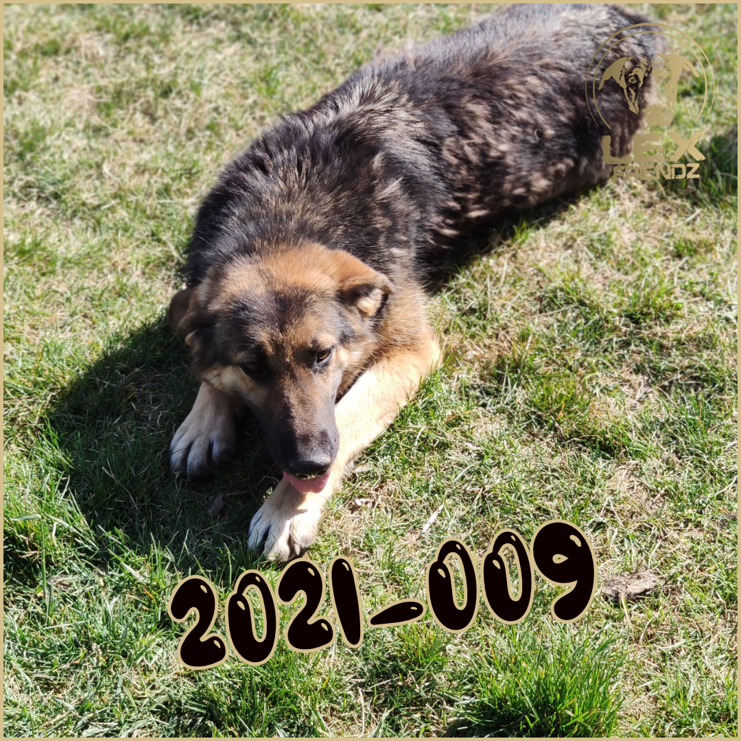 2021-009