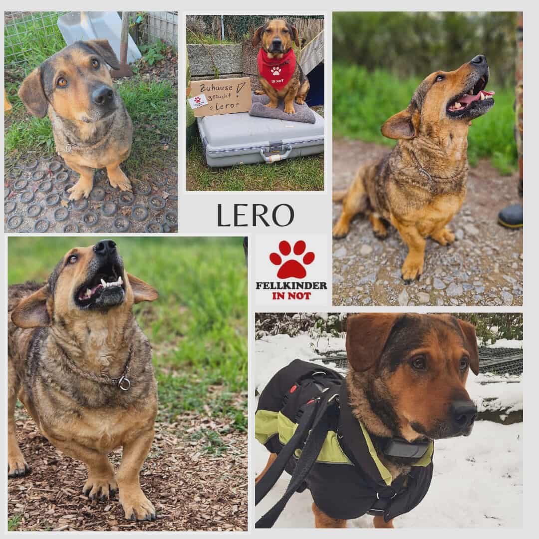 Lero