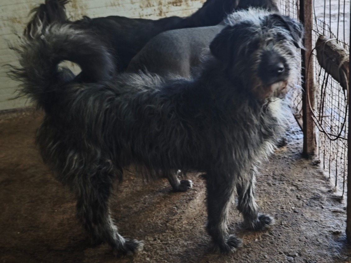 Metrickz