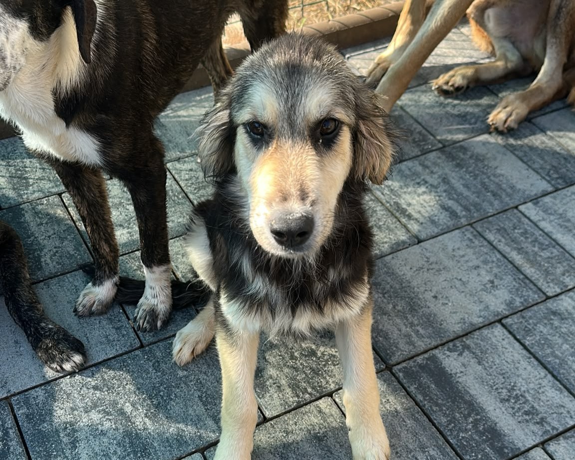 Berti💕sucht sein Glück