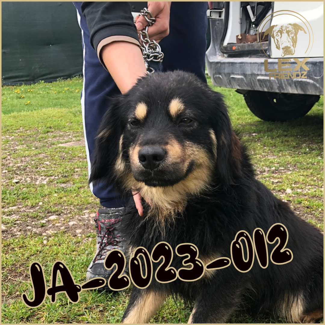 JA-2023-012