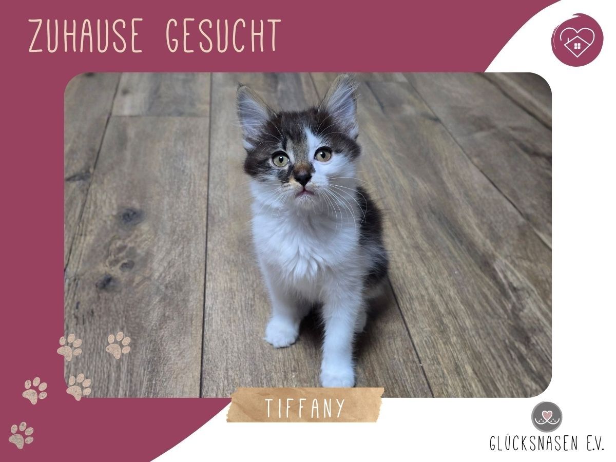 Tiffany sucht ihr Personal