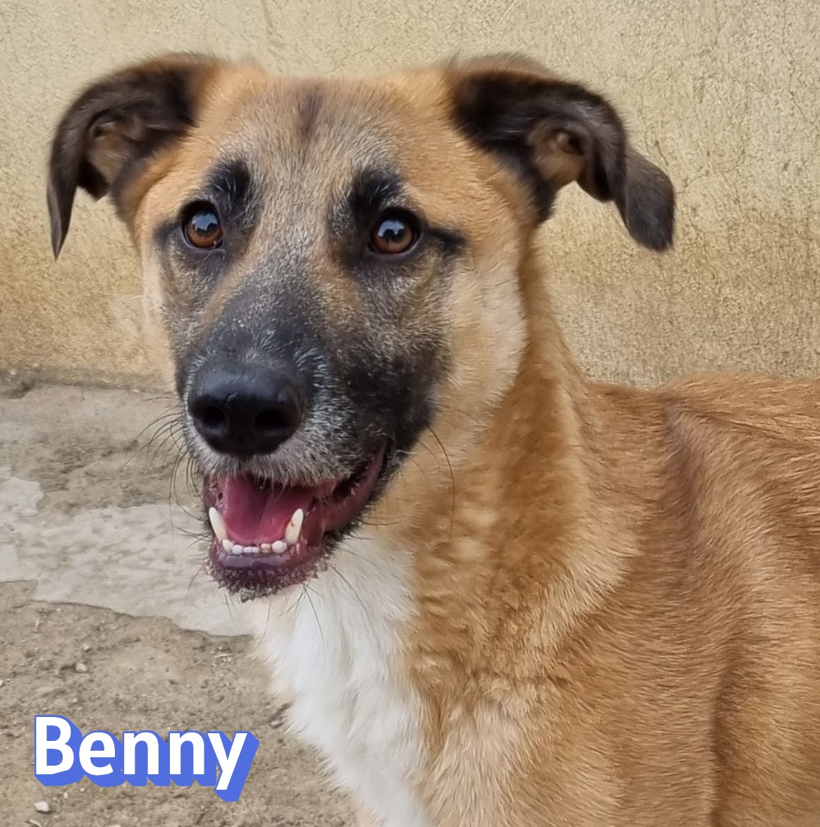 Benny