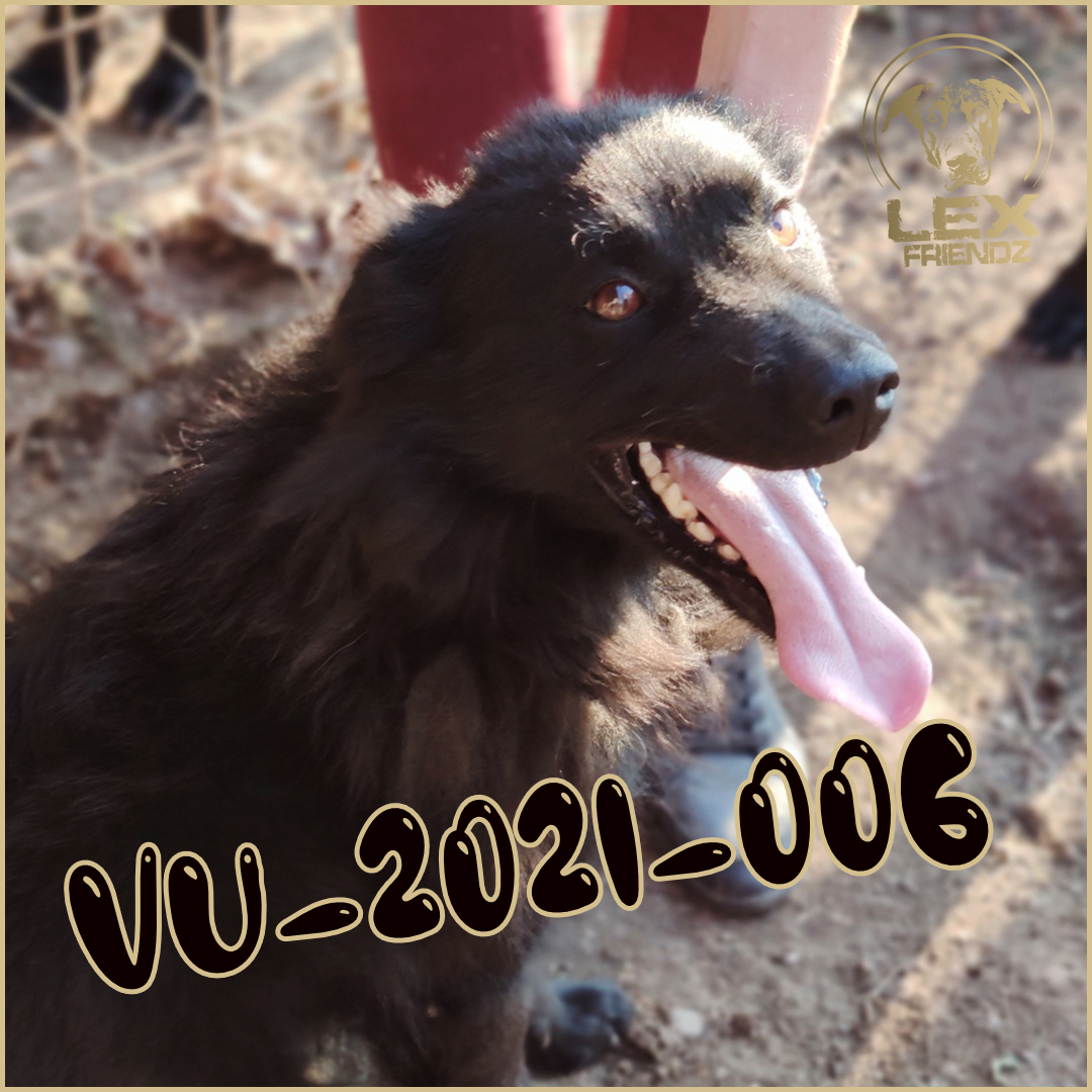 VU-2021-006