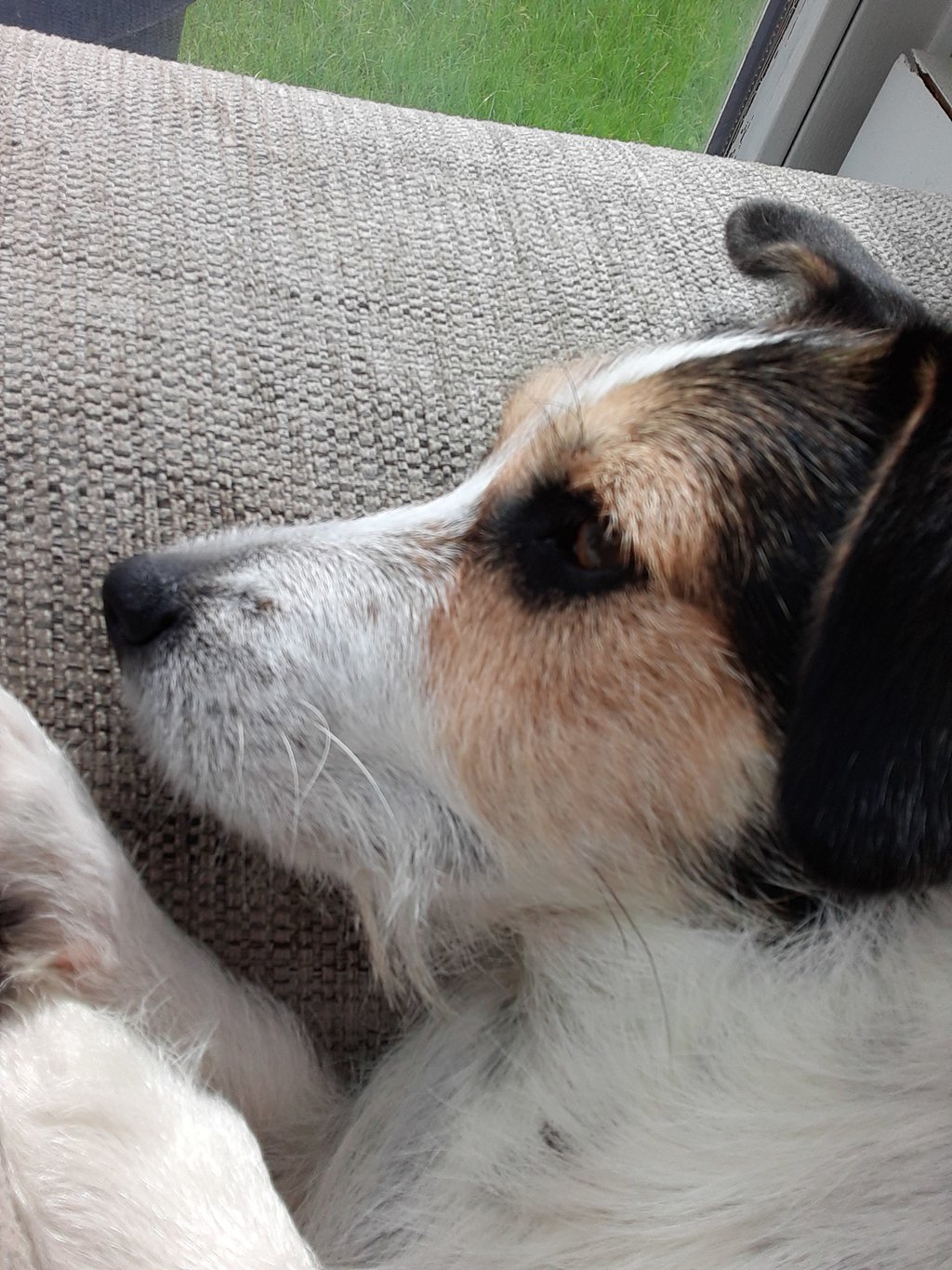 Lexie und Lotta