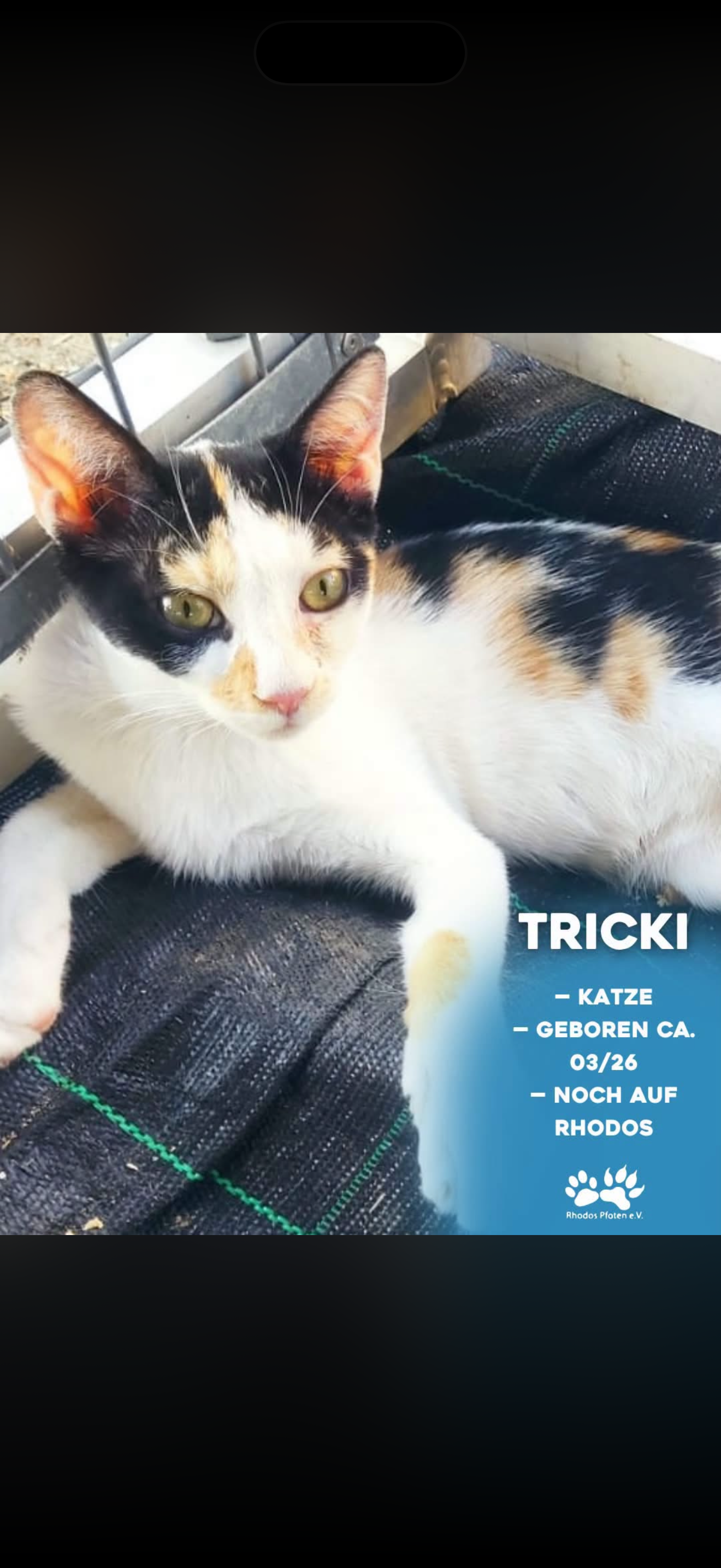Tricki