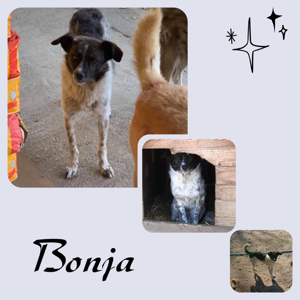 Bonja