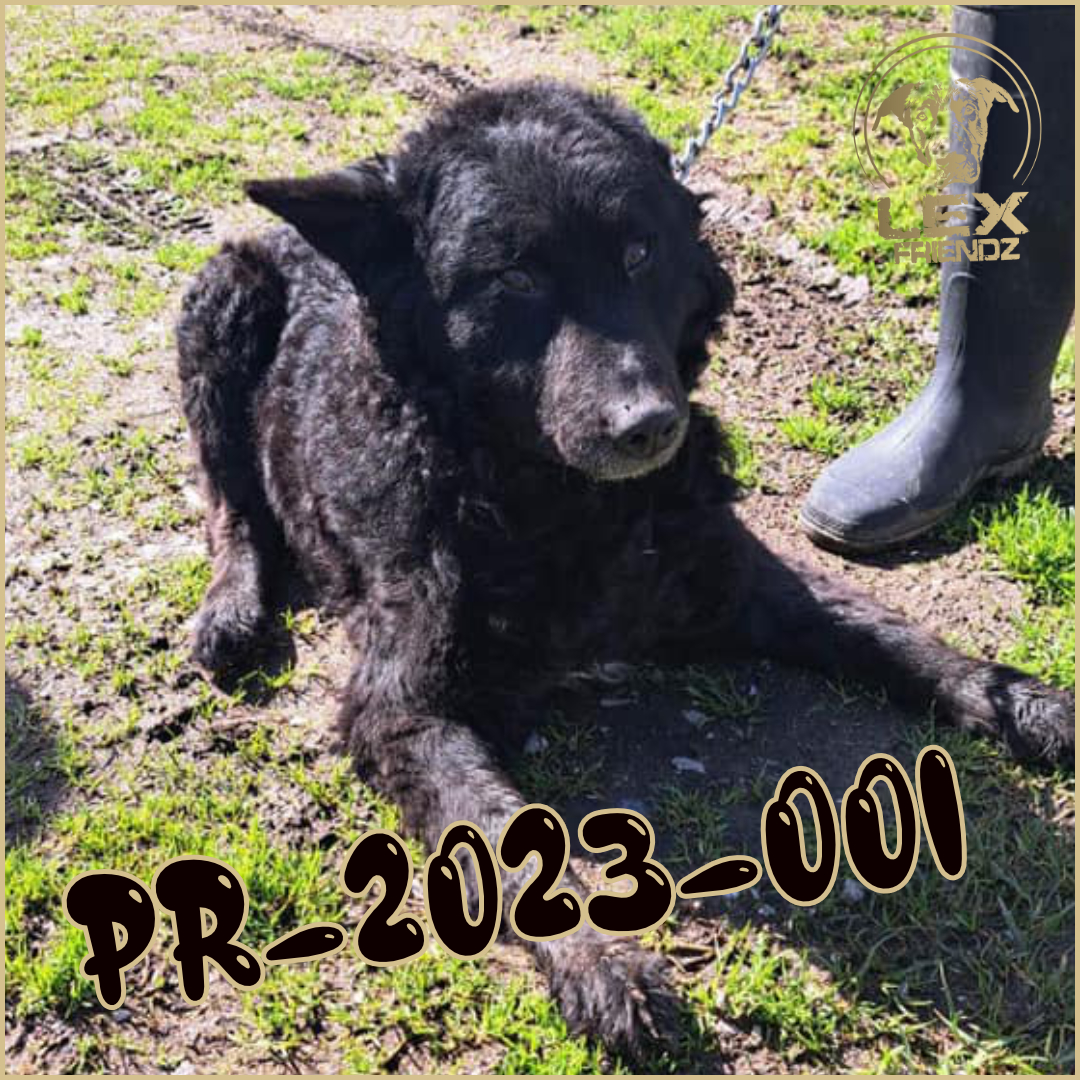 PR-2023-001