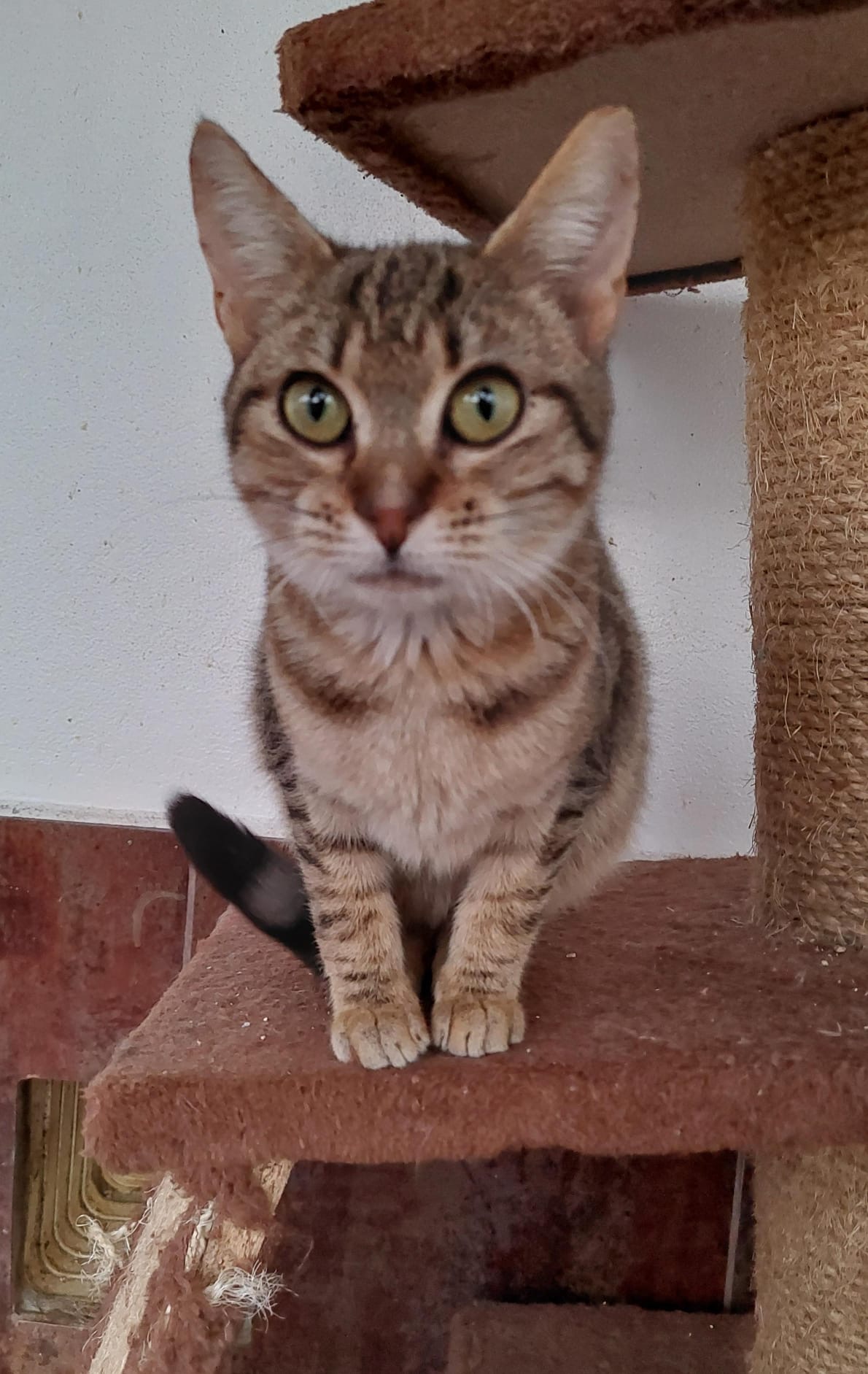 Yuka