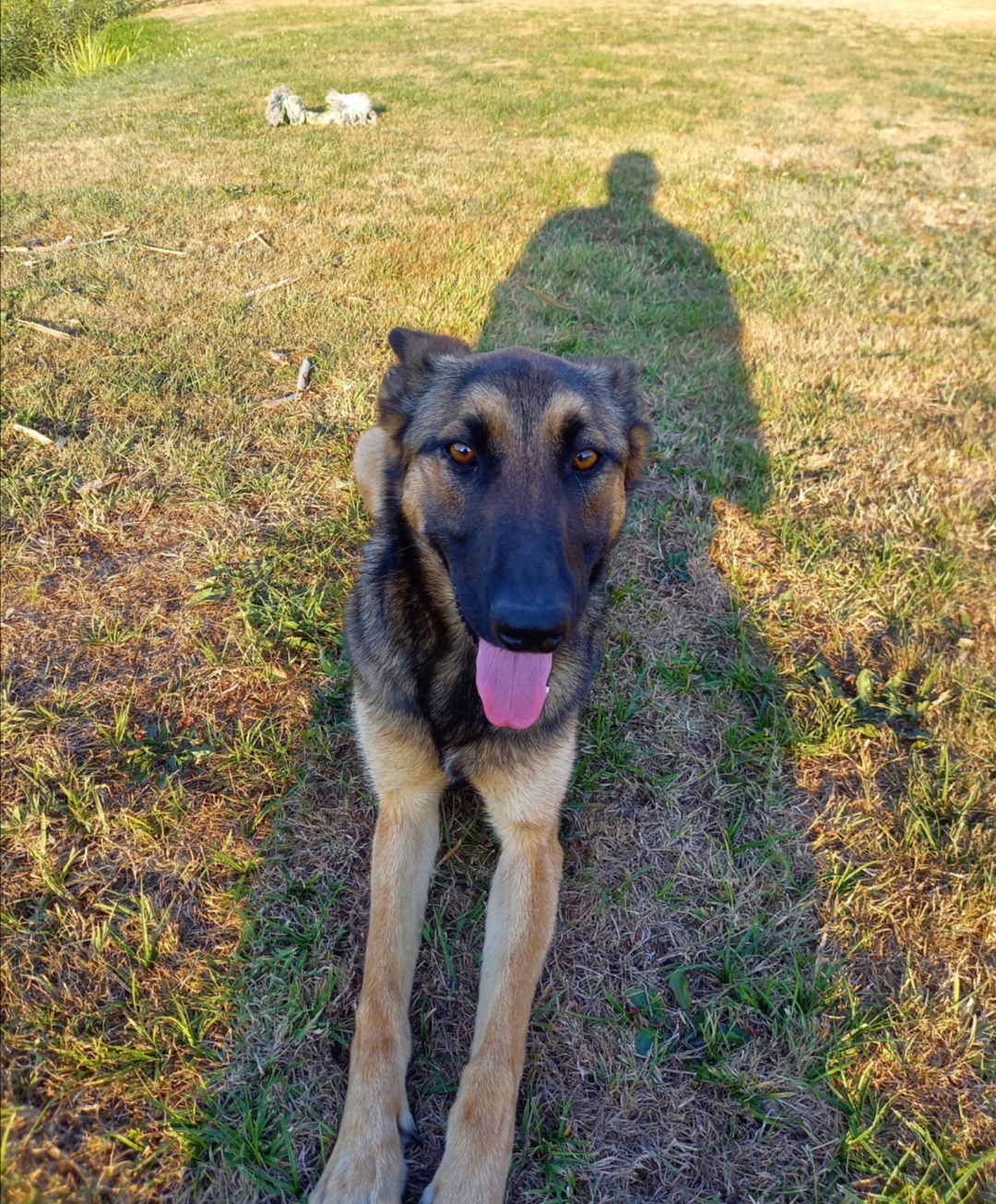 🍀CHICA🍀- tolle Partnerin