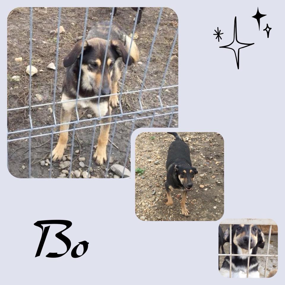 BO