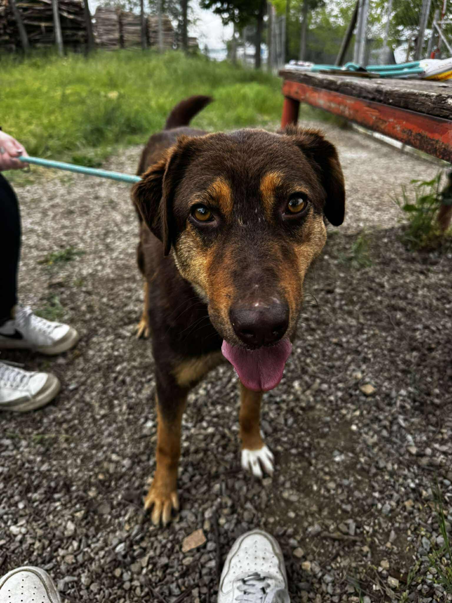 Nora ❤️