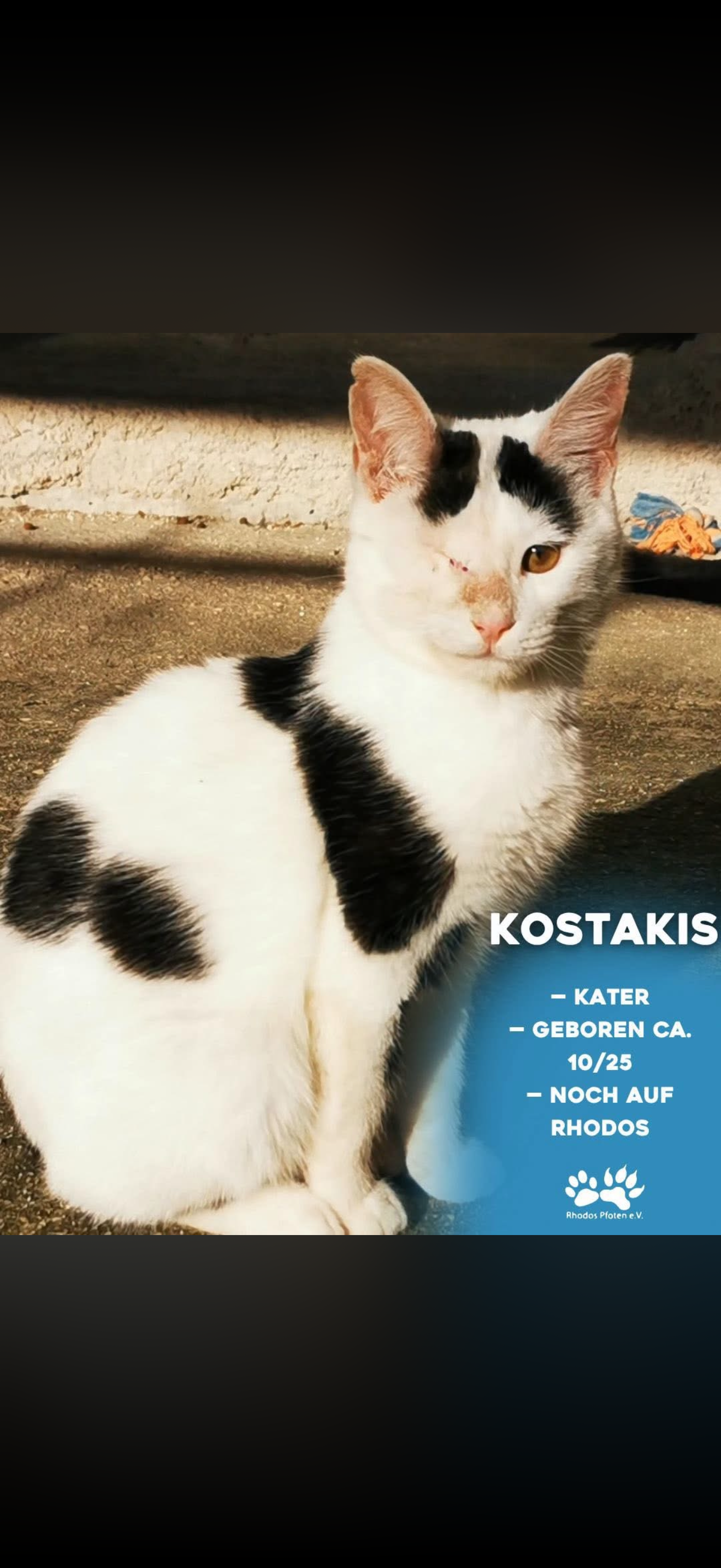 Kostakis