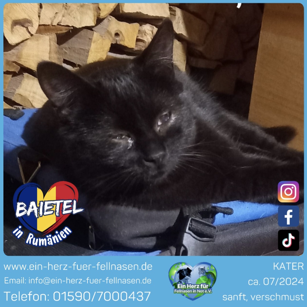 ❣️Baietel ❣️