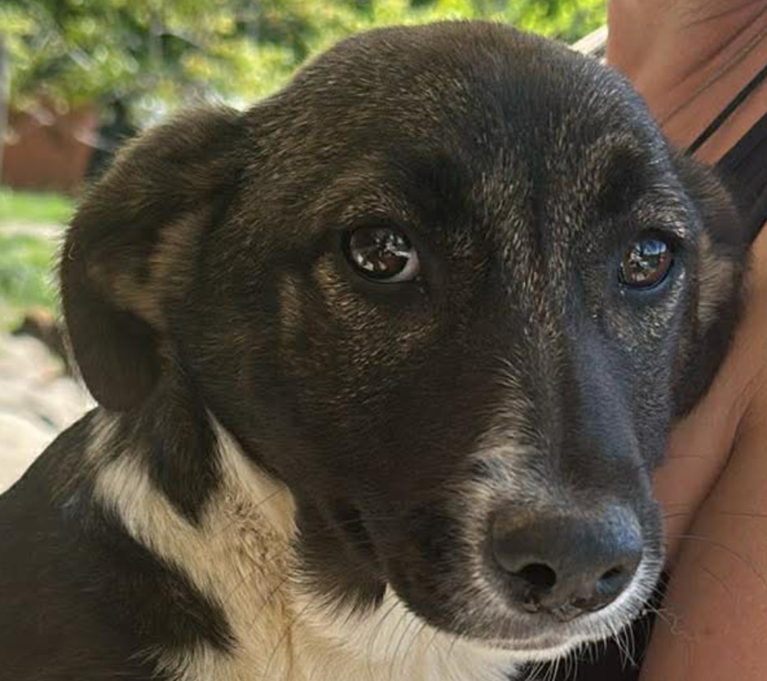 Arielle, suche Bleibe