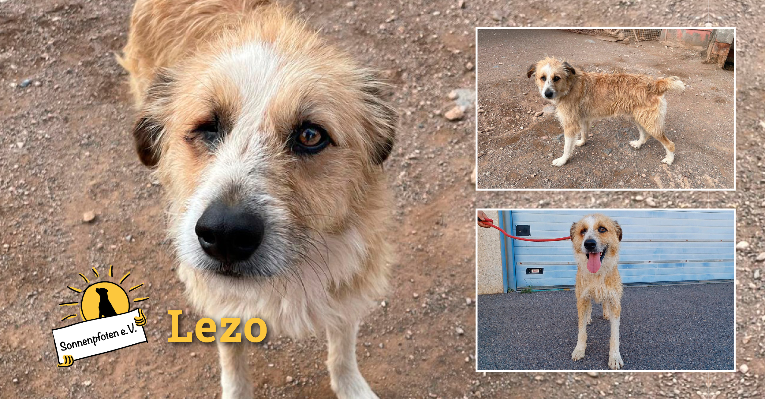 Lezo