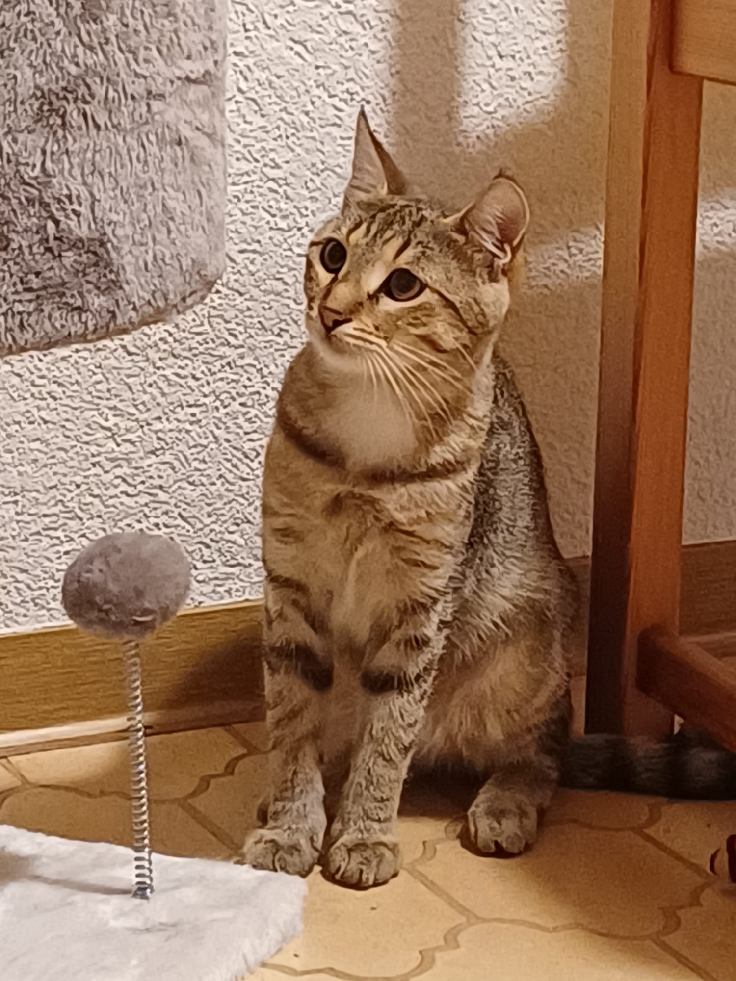 Suzi