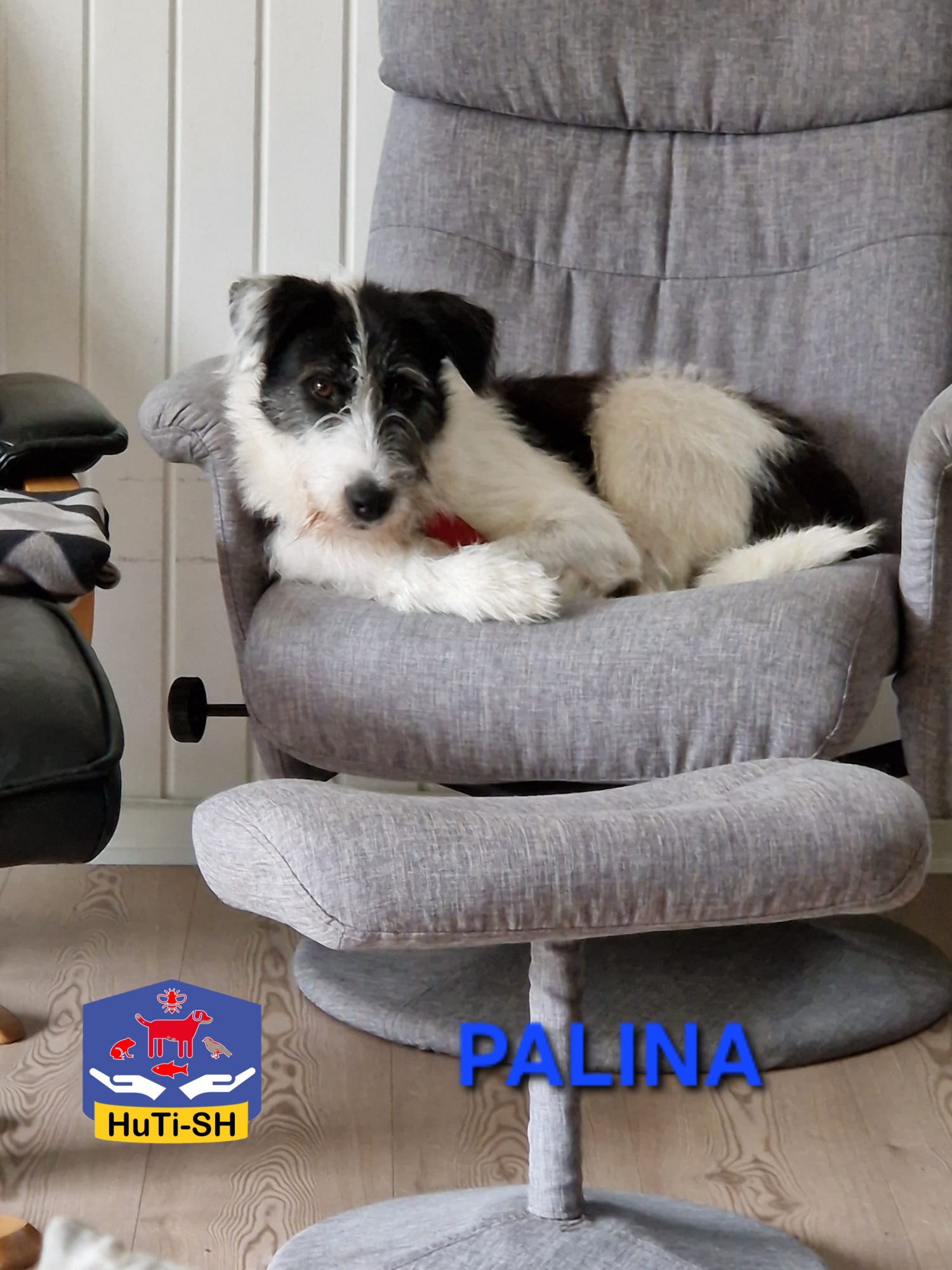 PALINA
