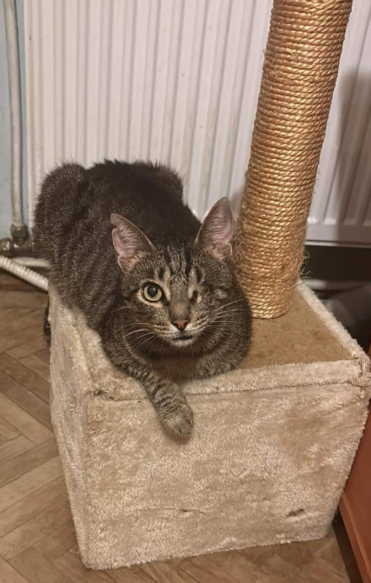 Fashoom sucht sein Glück