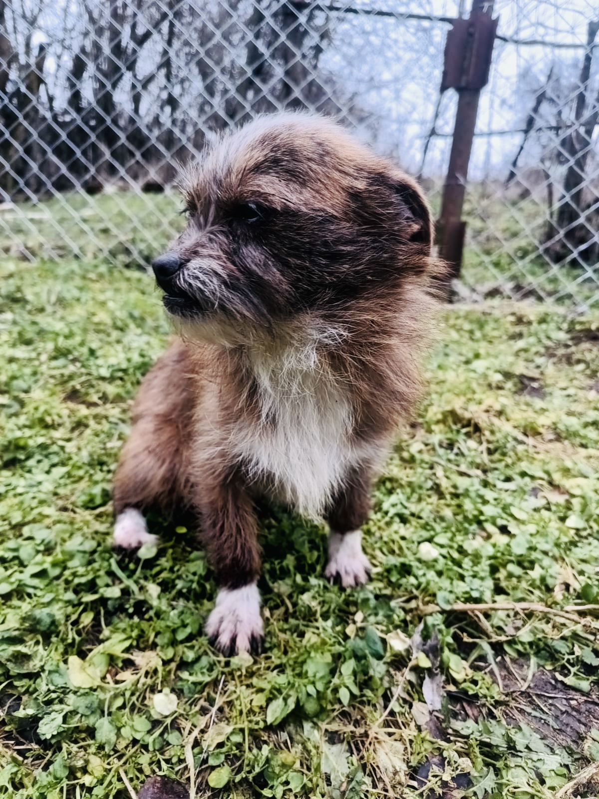 Matilda