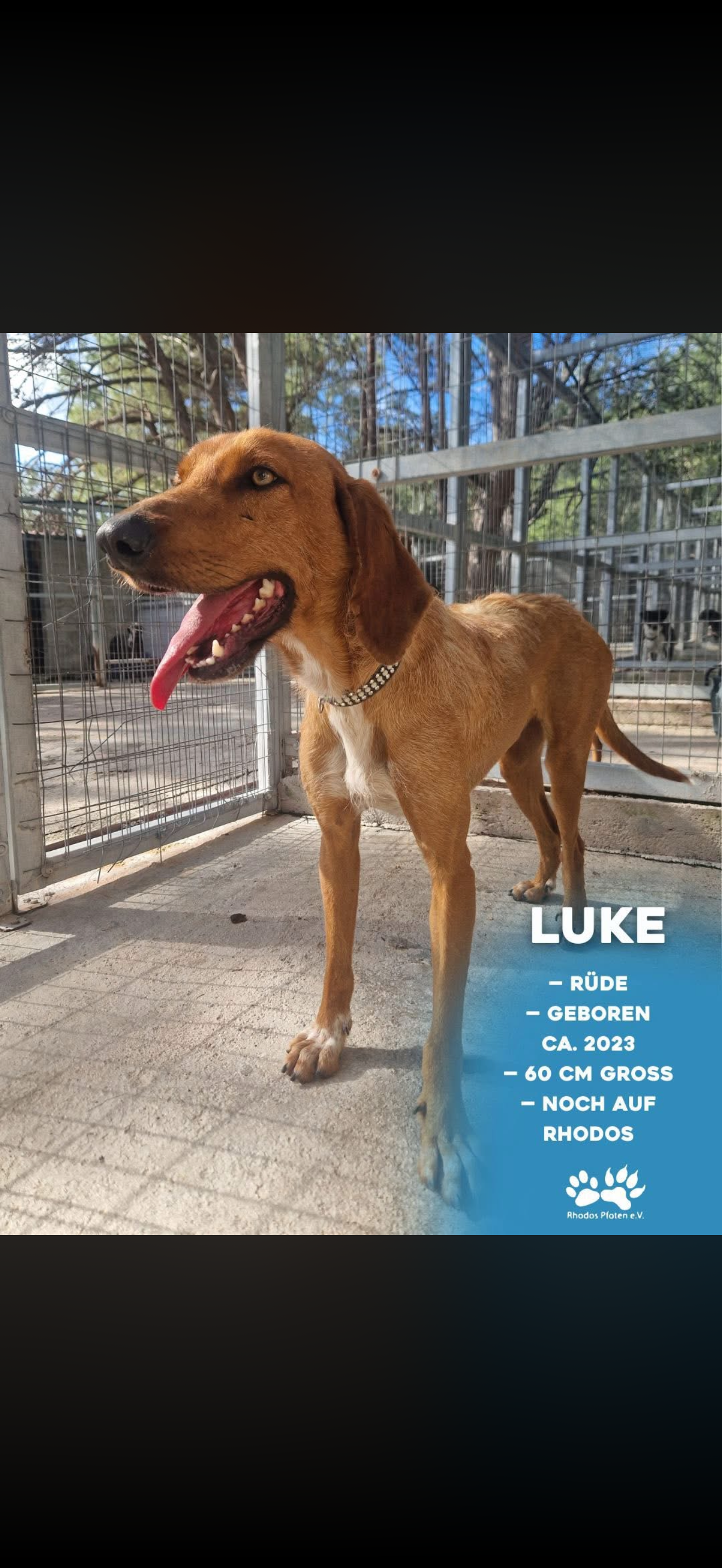 Luke