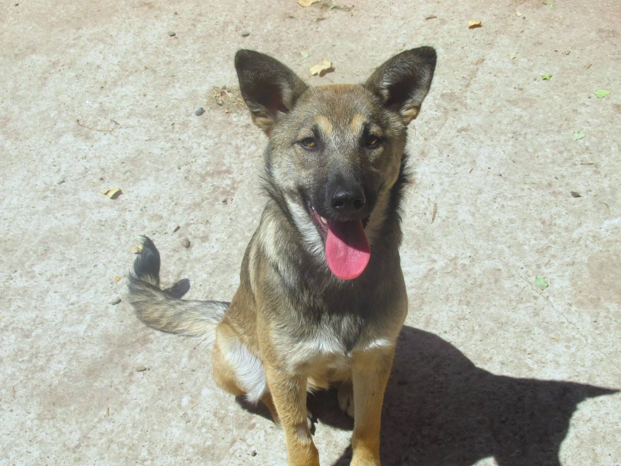 Nalani