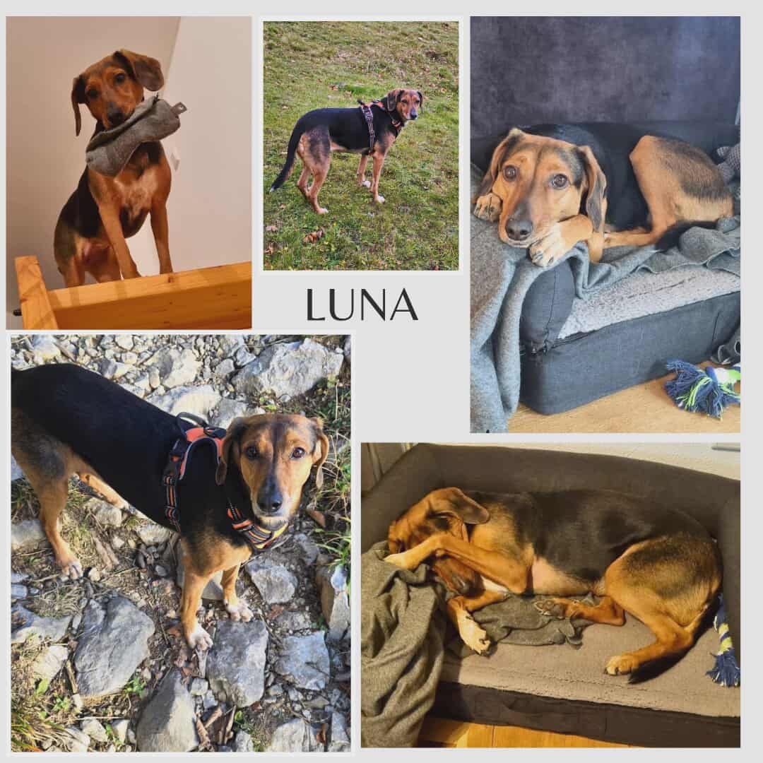 Luna