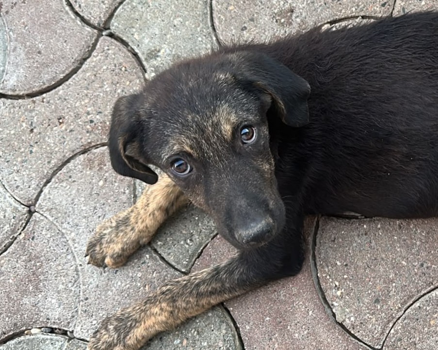Timo💕wartet auf dich