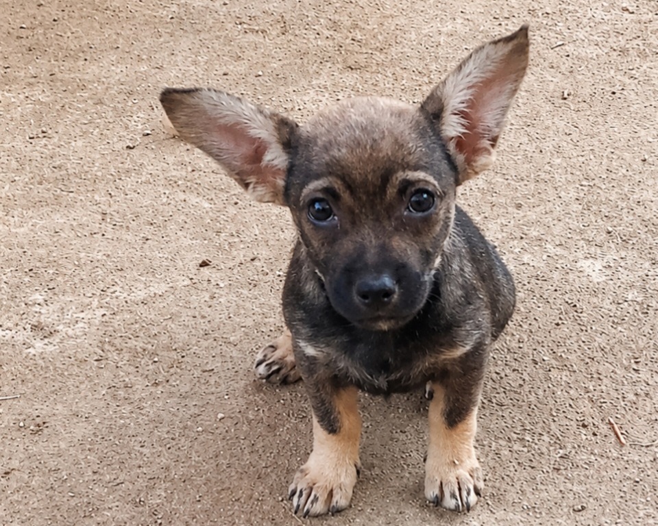 Maia💕liebt kuscheln