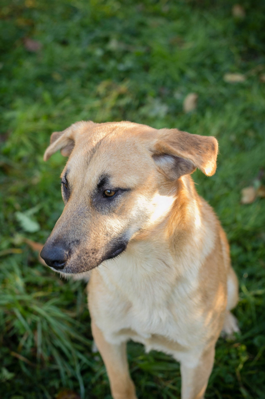 Murphy
