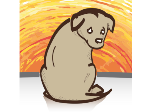 Hunde ohne Heimat e.V.